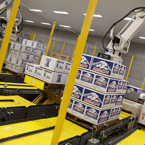 Transportadores de cadena para palets