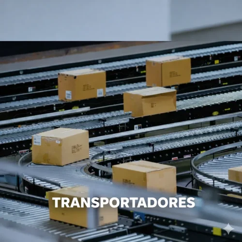 Transportadores